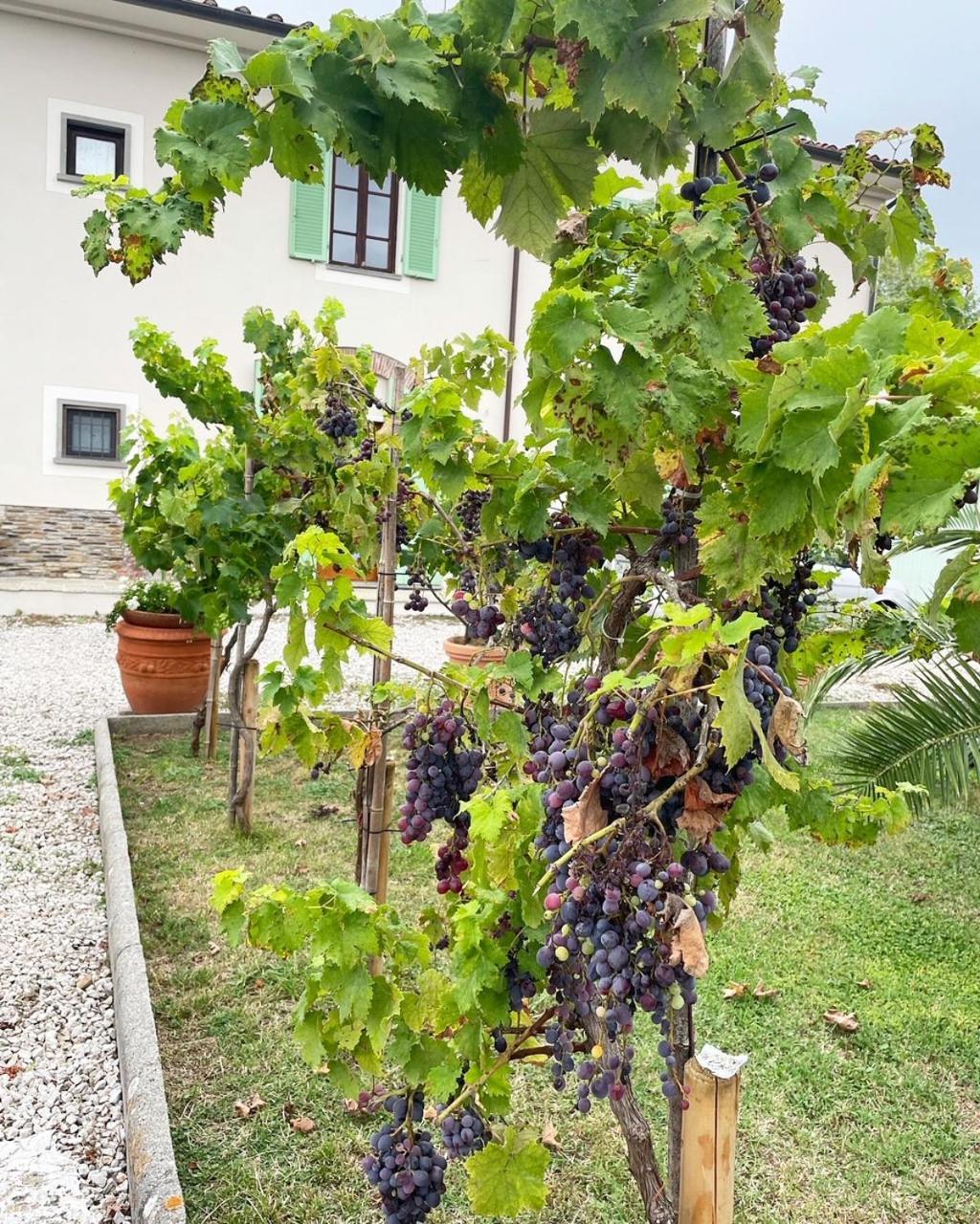 Villa 'Il Casale Di Giova' Tuscan Farmhouse Lucca Exterior foto